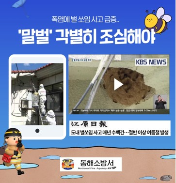 벌쏘임급증주의 카드뉴스.jpg