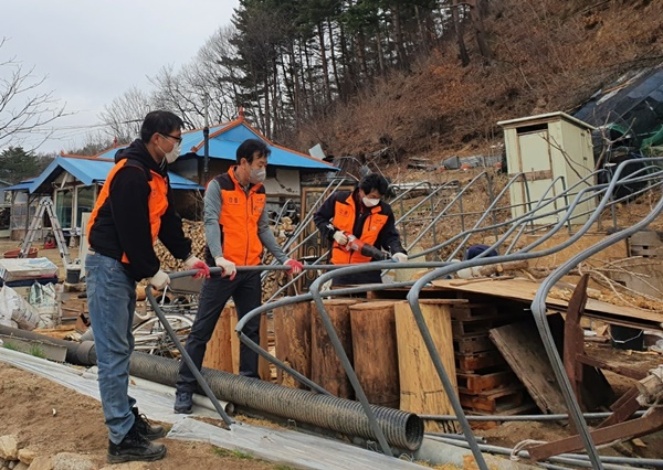 강릉남성의용소방대, 폭설 피해농가 봉사활동 실시.jpeg