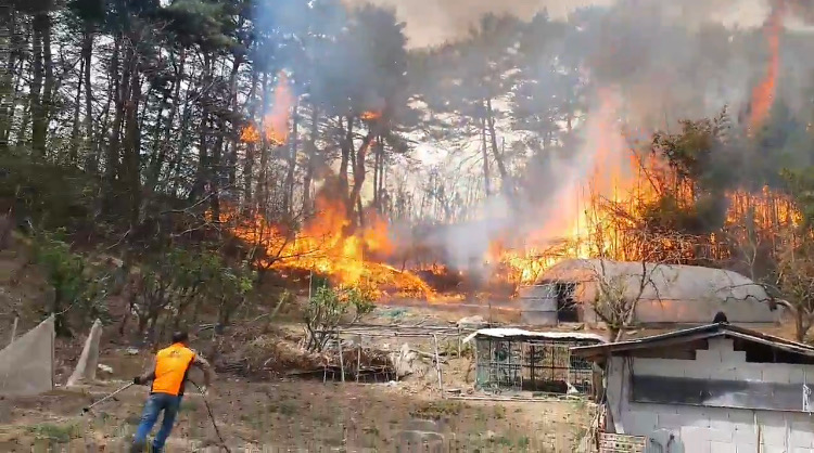 소금강남성대.JPG