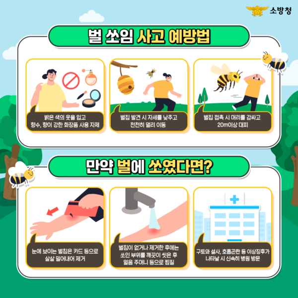 벌쏘임.png