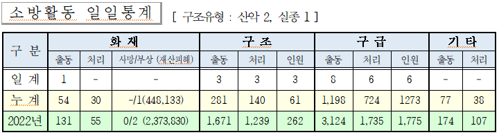 인제소방서 일일소방활동.png