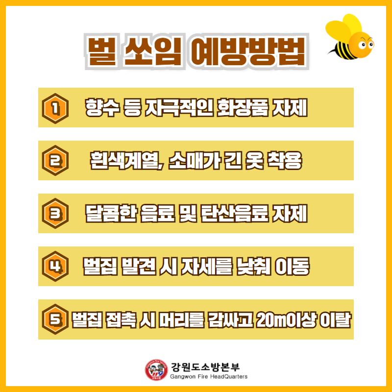 벌 쏘임 사고 주의 카드 뉴스2.png