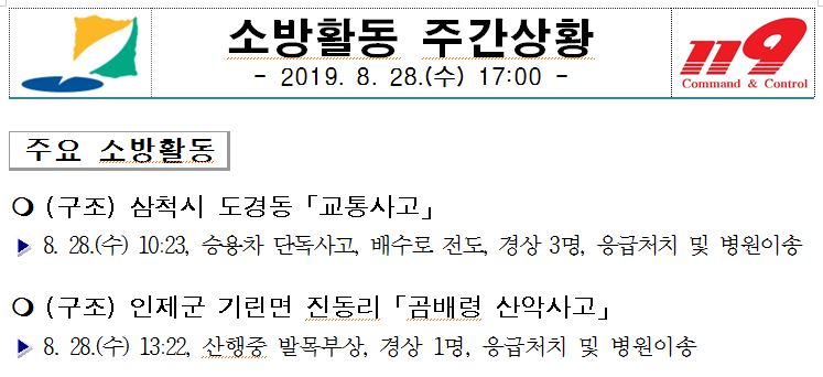 소방활동상황(8.28.주간).JPG