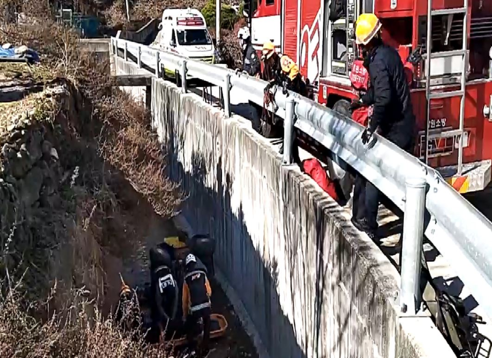 동해시_천곡동_교통사고.JPG