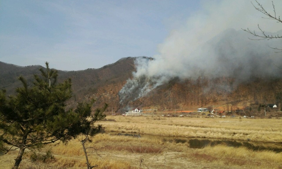 춘천시_남산면_산수리_산불현장4.jpg