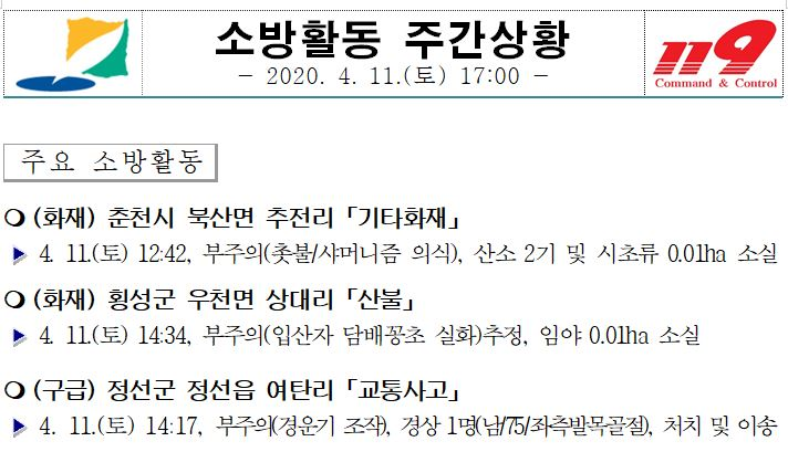 소방활동 주간상황(4. 11. 토).JPG