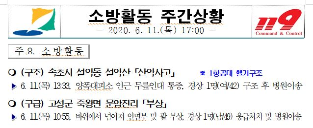 소방활동 주간상황(6.11. 17시).JPG