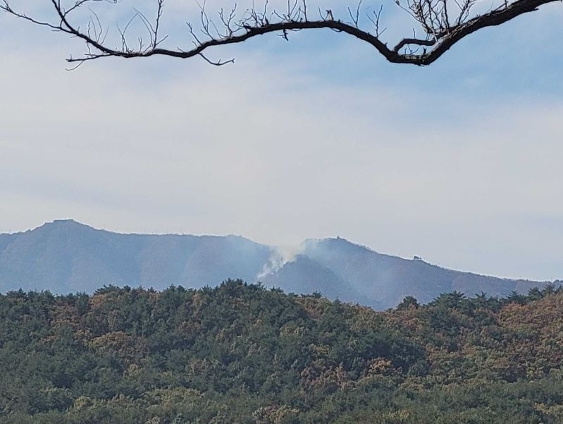 고성군 현내면 산불 1.JPG