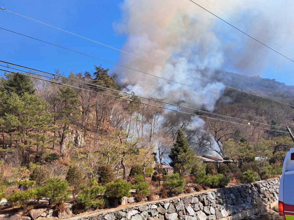 홍천 서석면 산림화재(230226)_1.jpg