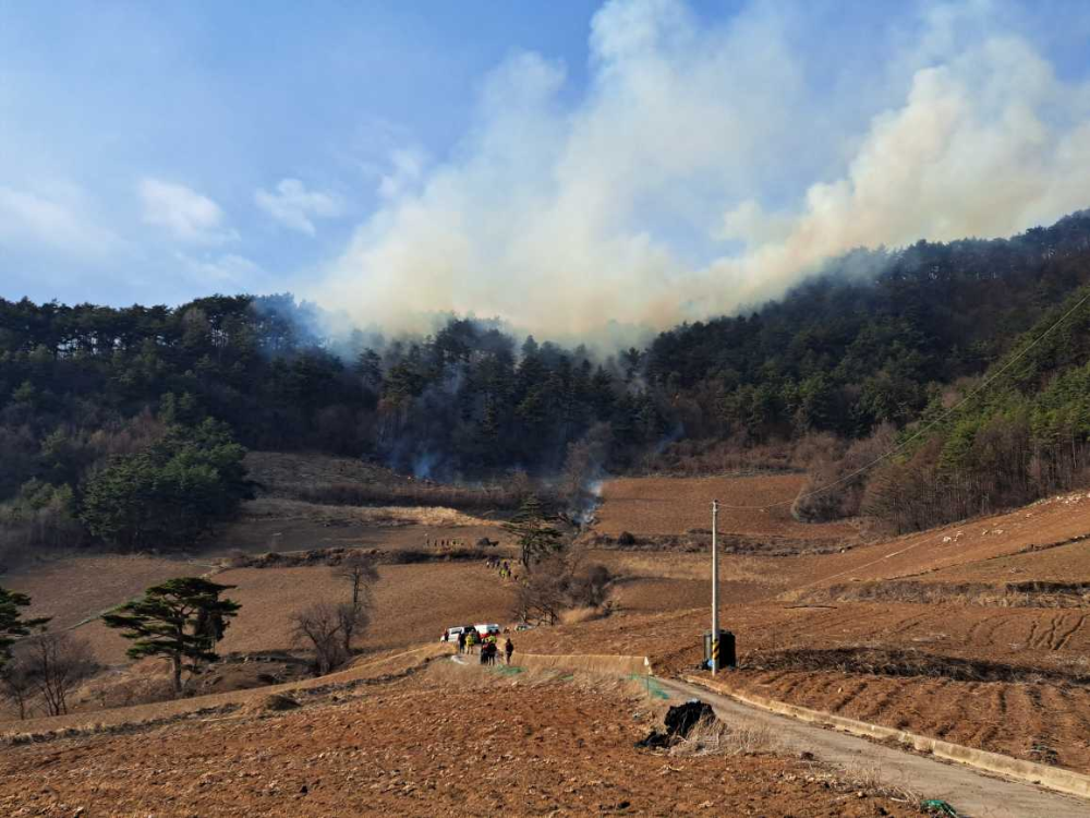 정선군 화암면 백전리 산림화재.jpg