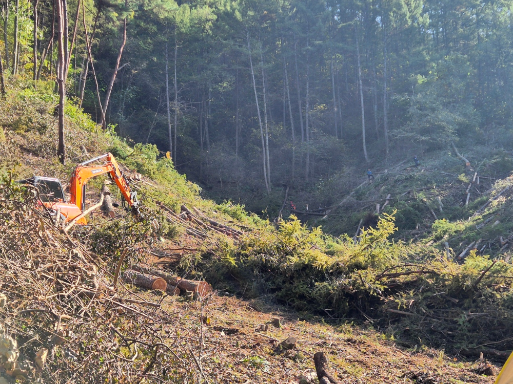 (1150)홍천 두촌면 화촌리 사고부상.jpeg