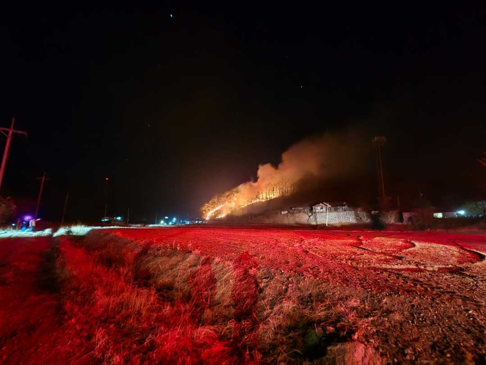 0056 양양 양양읍 화일리 산불 1.jpg