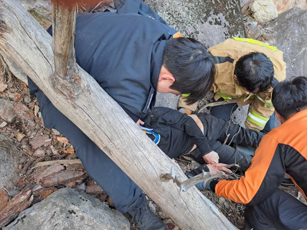 1604 동해 무릉계곡 추락 사고 (2).jpg