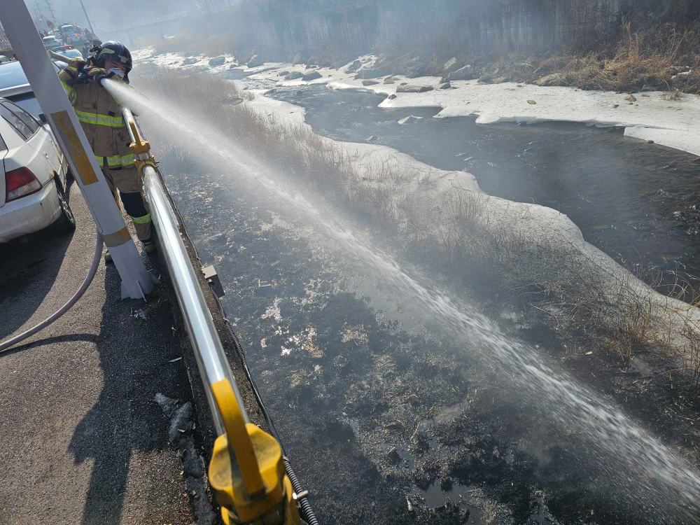 1130 정선 갈대 및 잡풀 화재.jpg