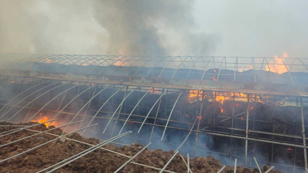 1552 철원 볏짚 보관 비닐하우스 화재.jpg