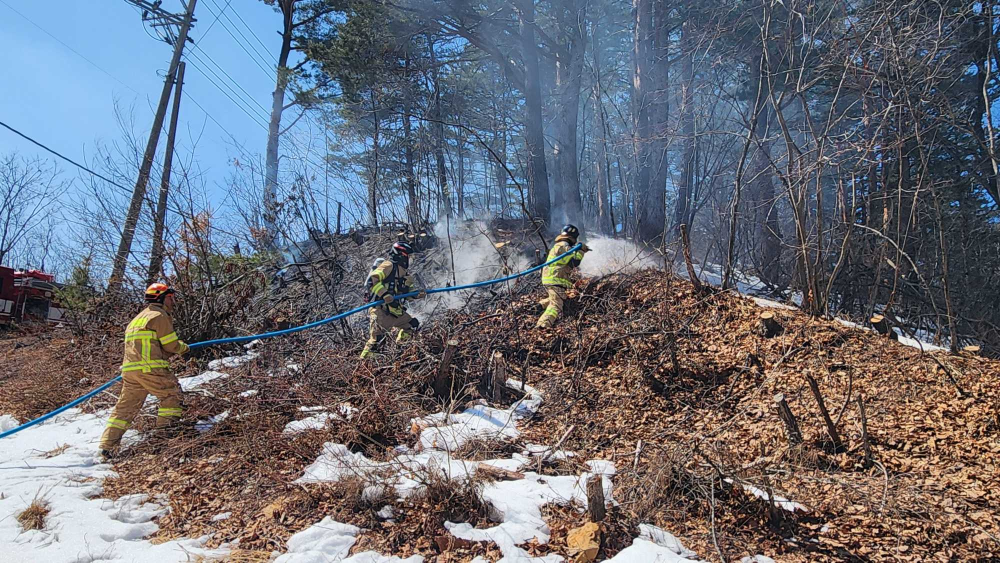 1154 태백 적각동 산림화재.jpg