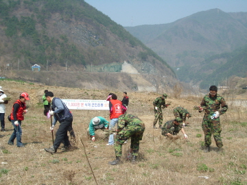 090410-갯버들식재행사SL730997[1].jpg