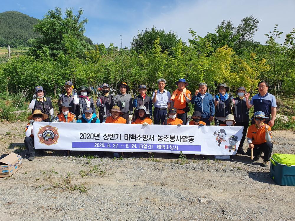 [보도자료-태백소방서] 2020.06.23. 태백소방서, 직장체육행사로 농촌 일손 돕기 봉사활동 실시1.jpg