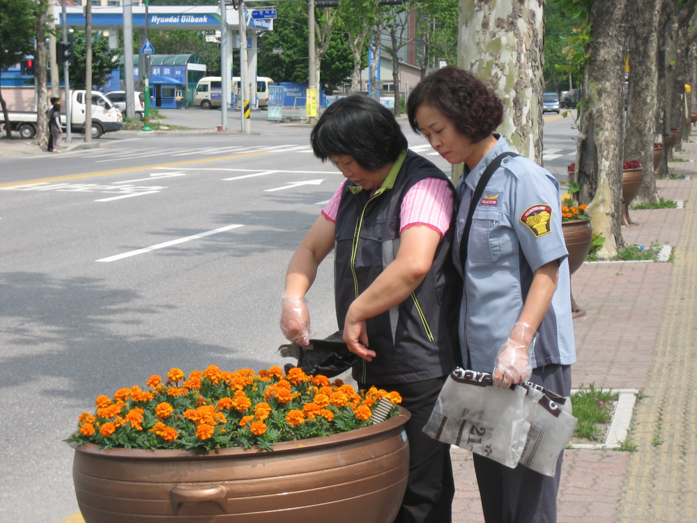 6월리더.정기.장미.전통_044.JPG