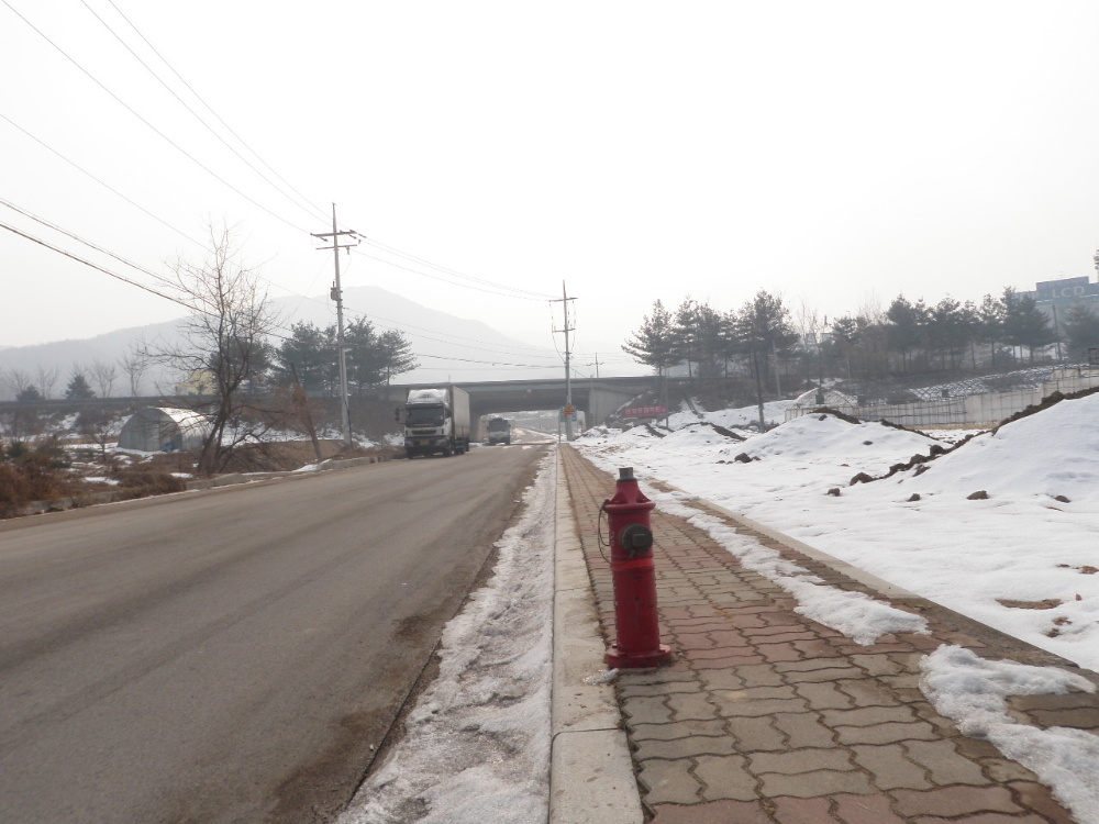 P2030032.JPG
