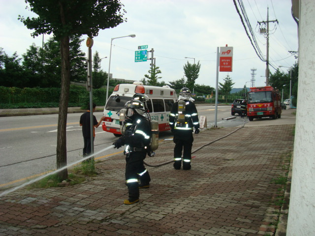 DSC04555.JPG