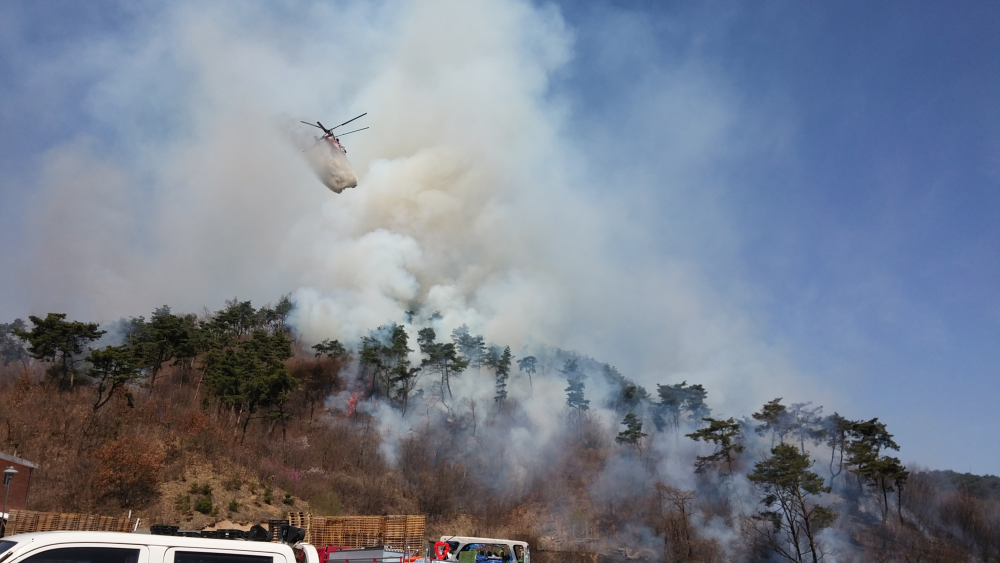 20170410 소초면 산불화재1.jpg