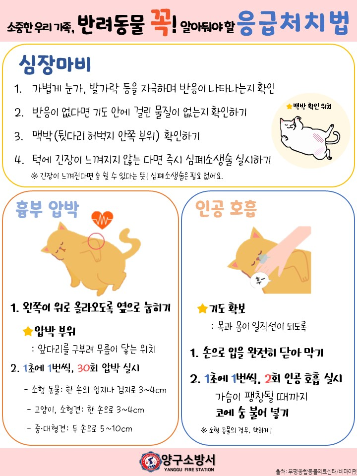 반려동물 응급처치2(1).JPG