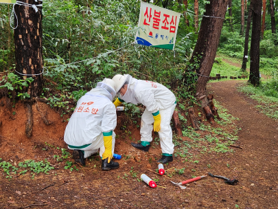 동해소방서,“벌집 발견 시 119 신고”벌 쏘임 주의 당부