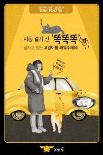 길 고양이 안전사고 예방 !