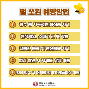 벌쏘임시 행동요령