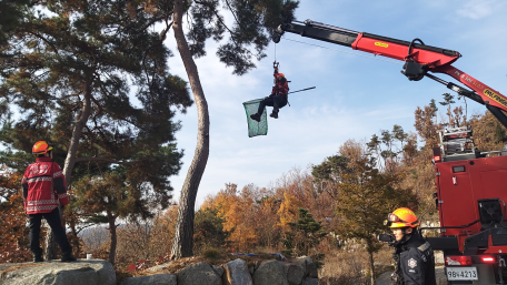 지정면 동물구조 2019년