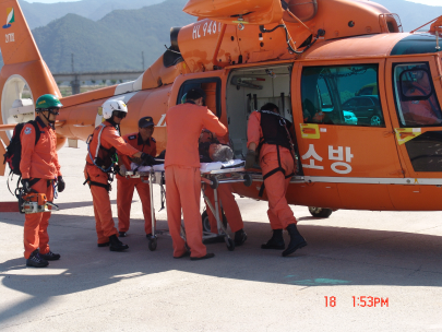 태화산 벌쏘임 환자 헬기구조